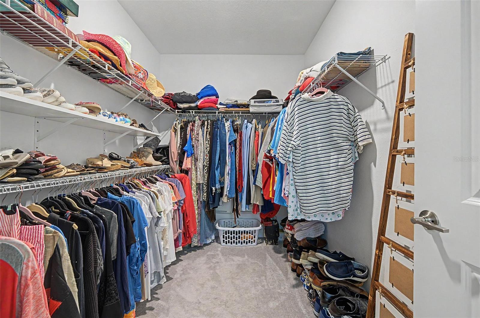 32172 CANNON RUSH DR — photo 20