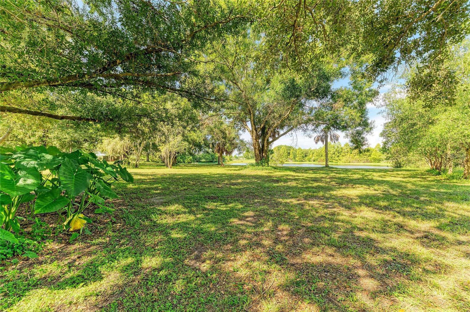 6055 COUNTY ROAD 675 — photo 53