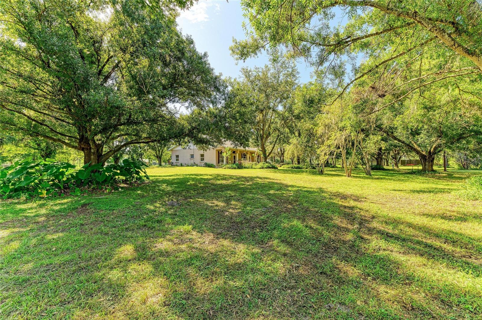 6055 COUNTY ROAD 675 — photo 9