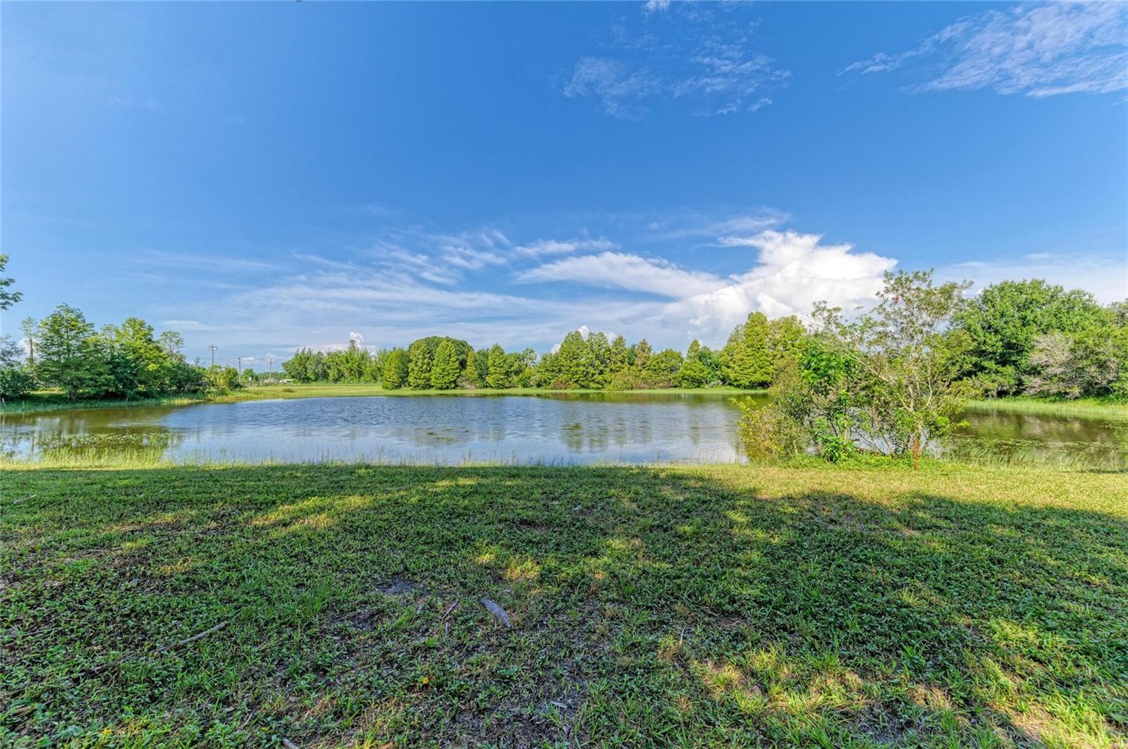 6055 COUNTY ROAD 675 — photo 59
