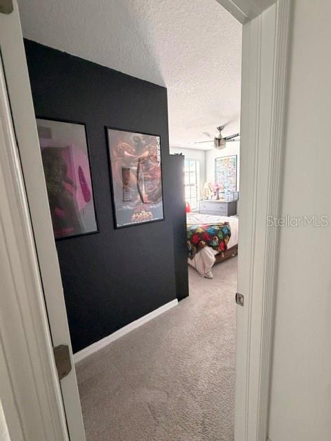 9116 TEQUILA SUNRISE DR — photo 12
