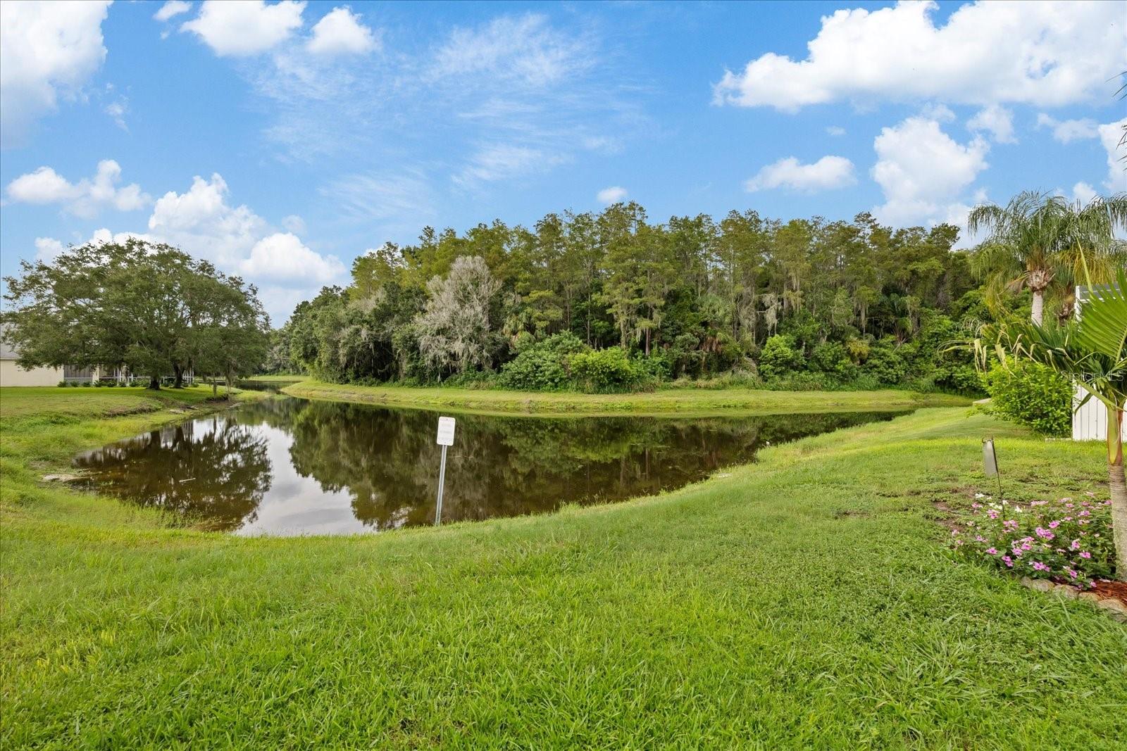 4320 STONES RIVER CT — photo 47