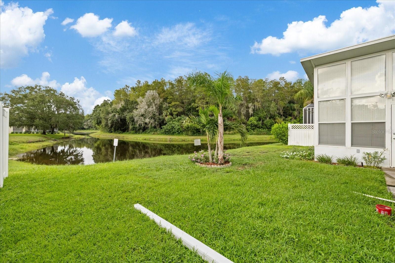 4320 STONES RIVER CT — photo 46