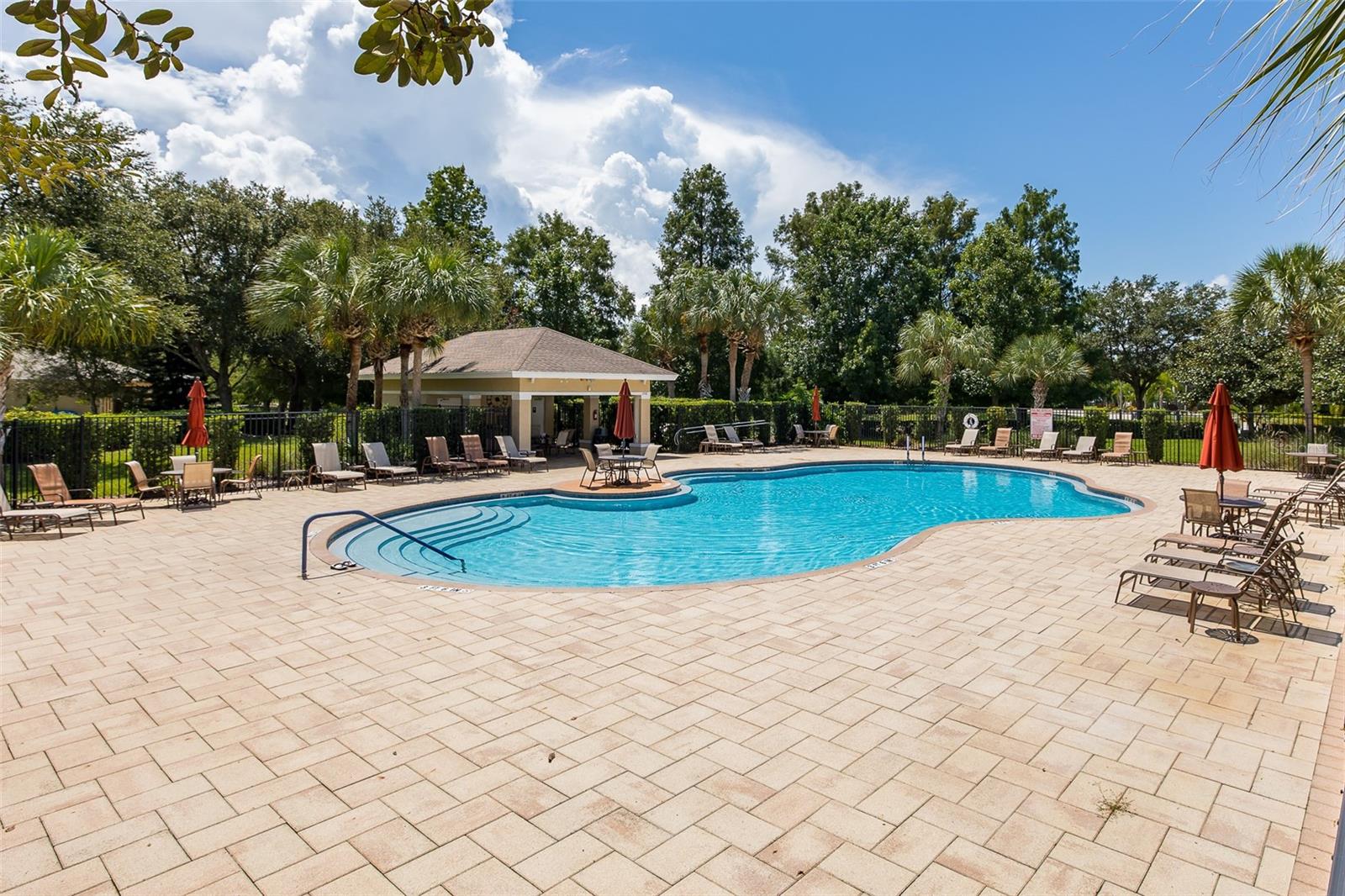 2220 PARROT FISH DR — photo 41