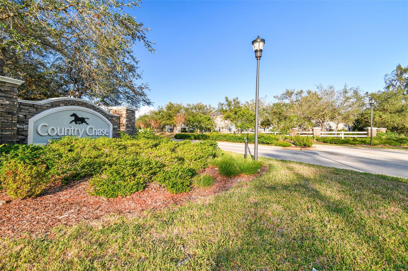 12225 COUNTRY WHITE CIR — photo 74