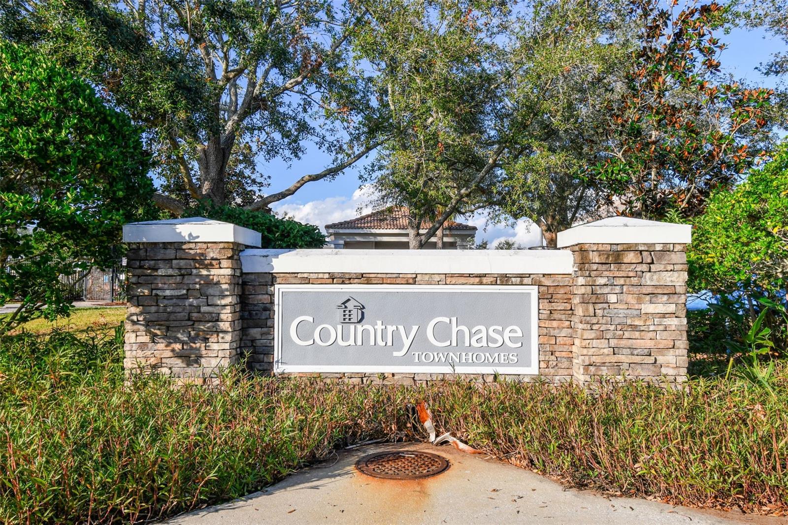 12225 COUNTRY WHITE CIR — photo 64