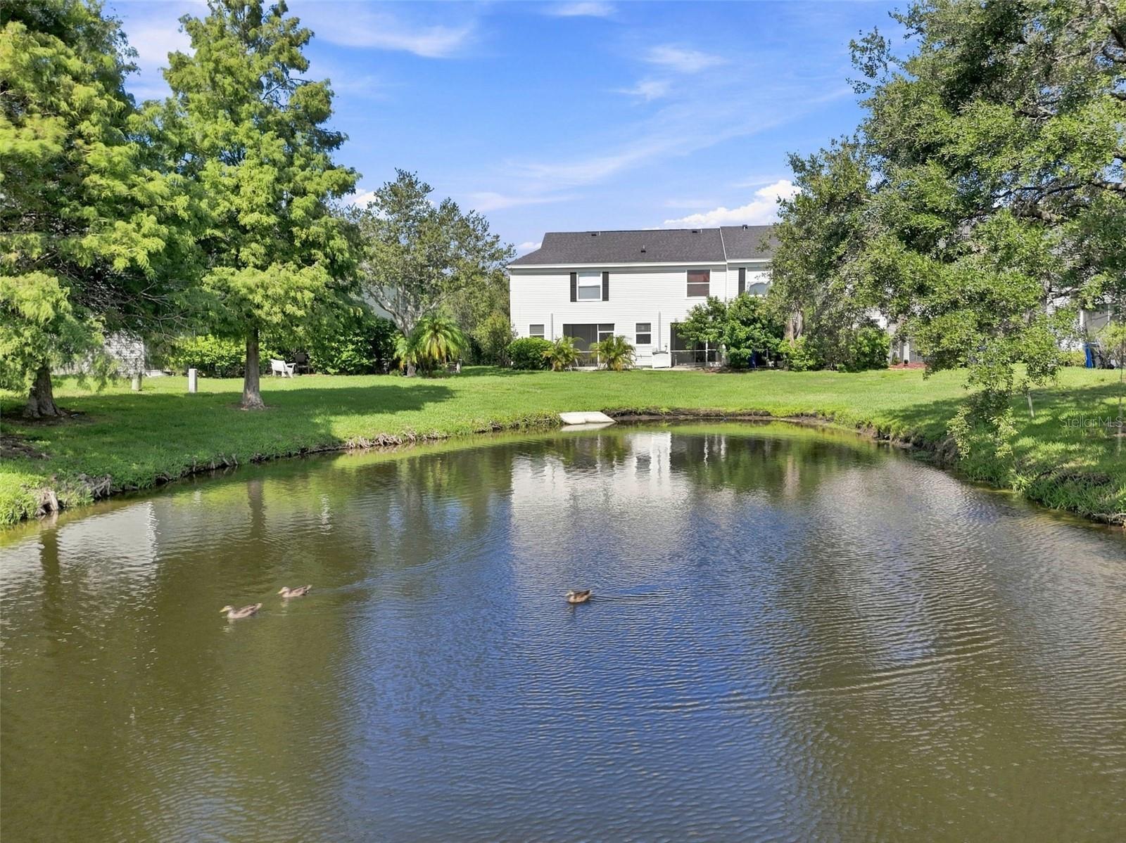 12225 COUNTRY WHITE CIR — photo 53