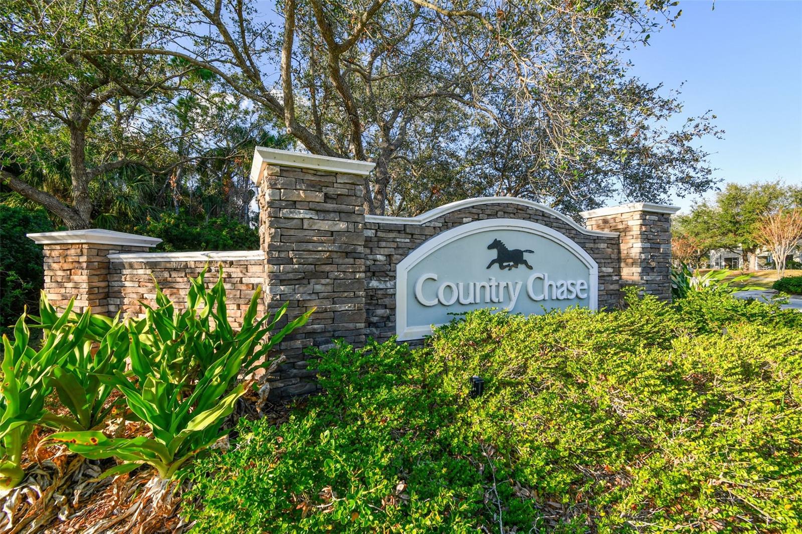 12225 COUNTRY WHITE CIR — photo 75