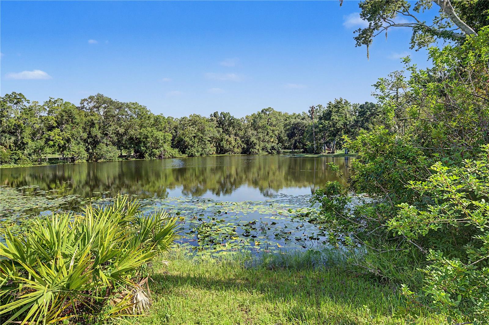 35 GREENHAVEN TRL — photo 61