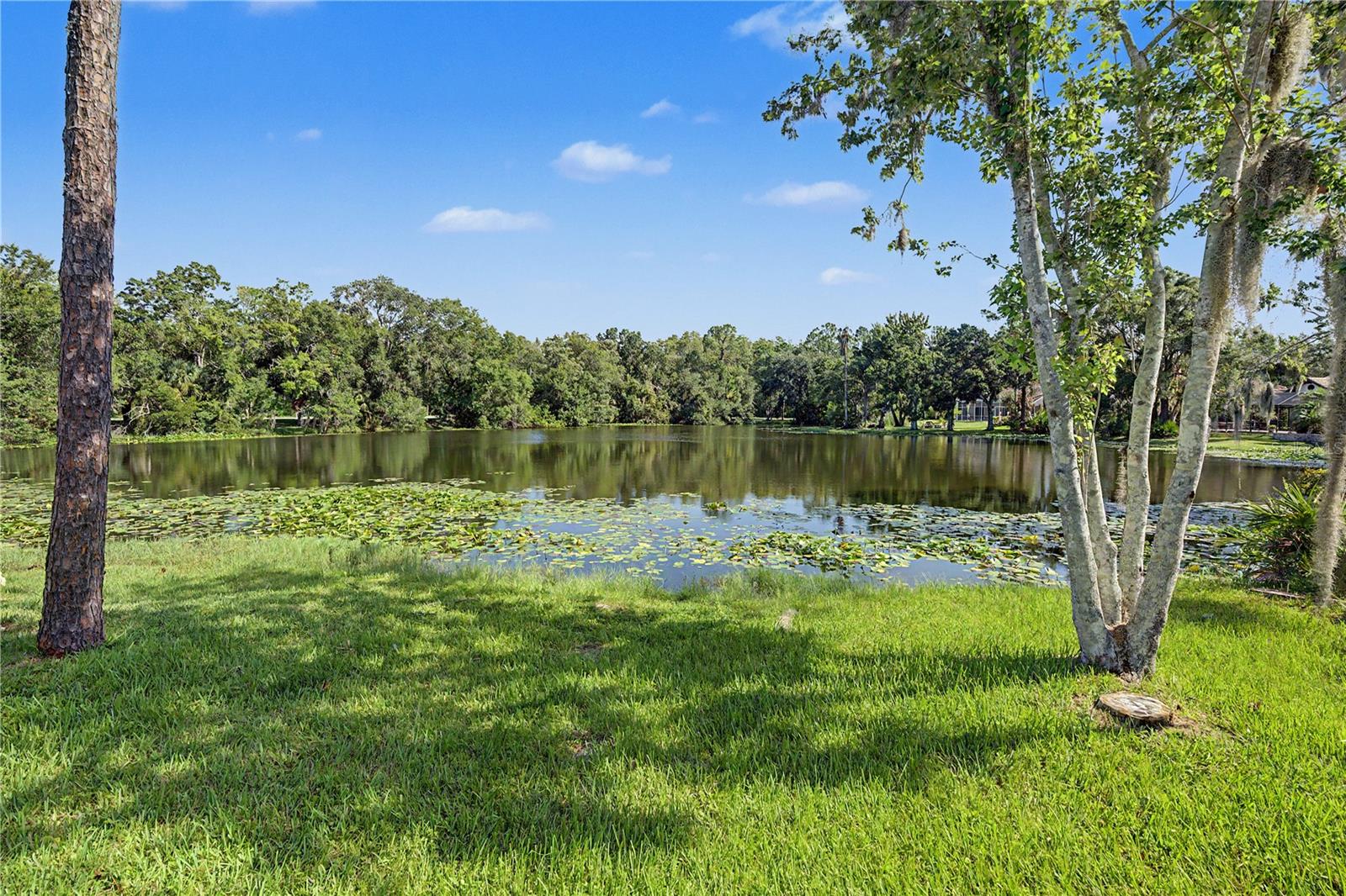 35 GREENHAVEN TRL — photo 63