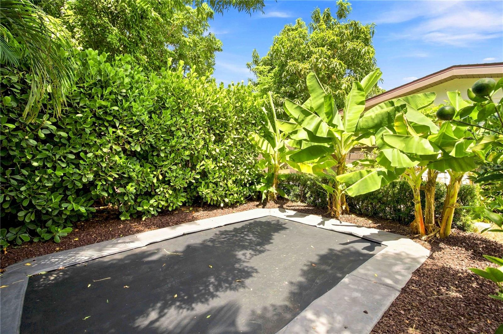 2410 SIESTA DR — photo 39