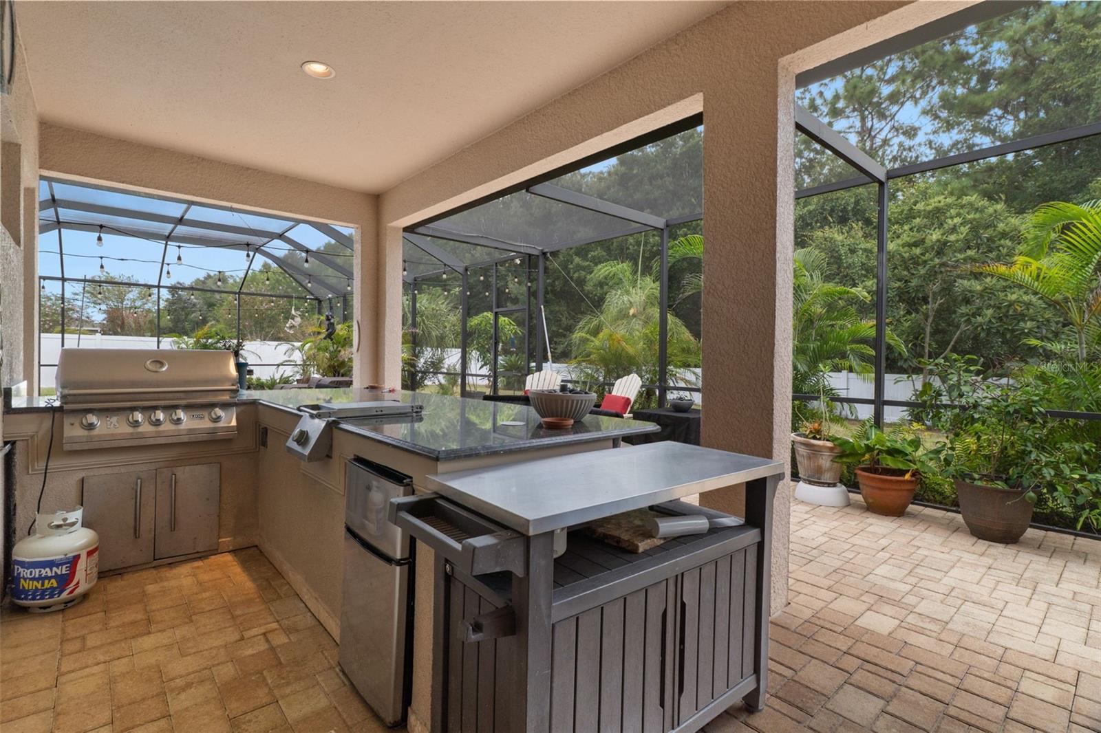 1726 NODDING THISTLE DR — photo 65