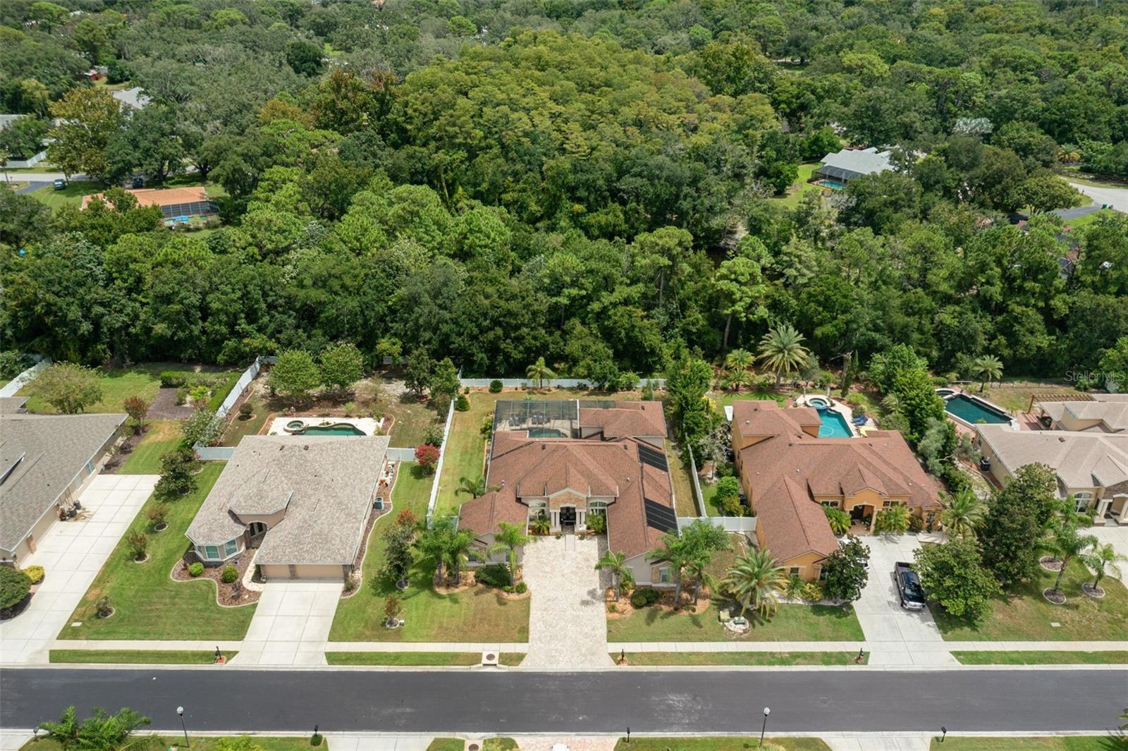 1726 NODDING THISTLE DR — photo 81