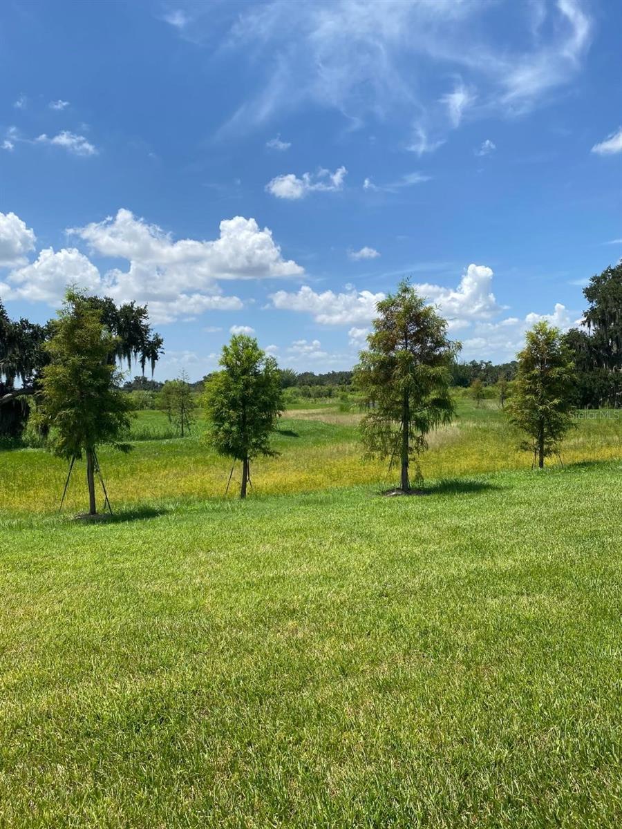 4005 WESTWOOD FIELDS LOOP — photo 35