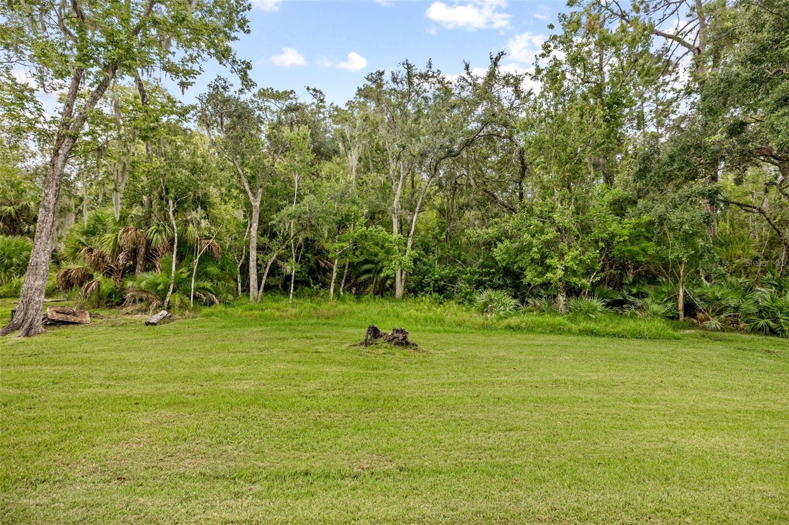 15713 MUIRFIELD DR — photo 38