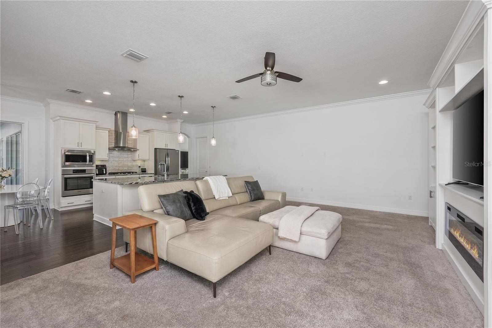 16306 WILD MALLARD DR — photo 8