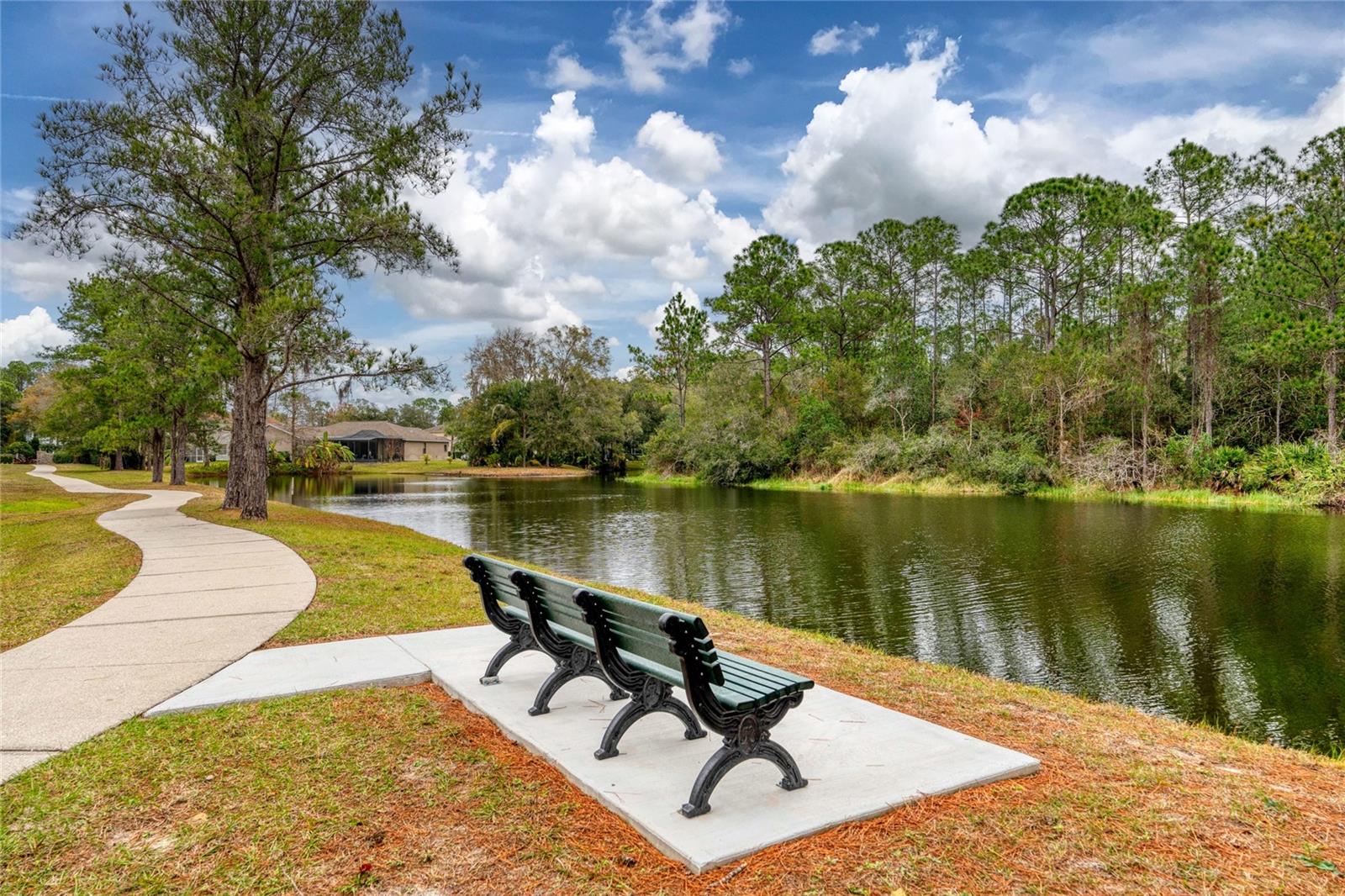 16306 WILD MALLARD DR — photo 42