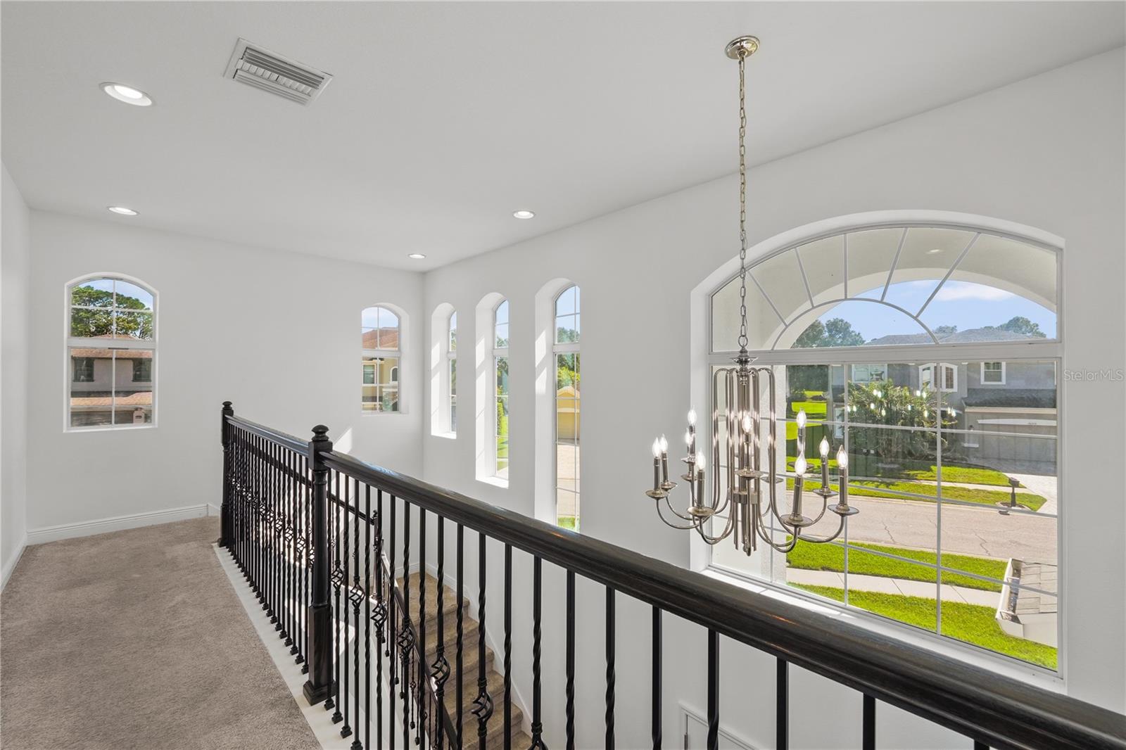 16306 WILD MALLARD DR — photo 20