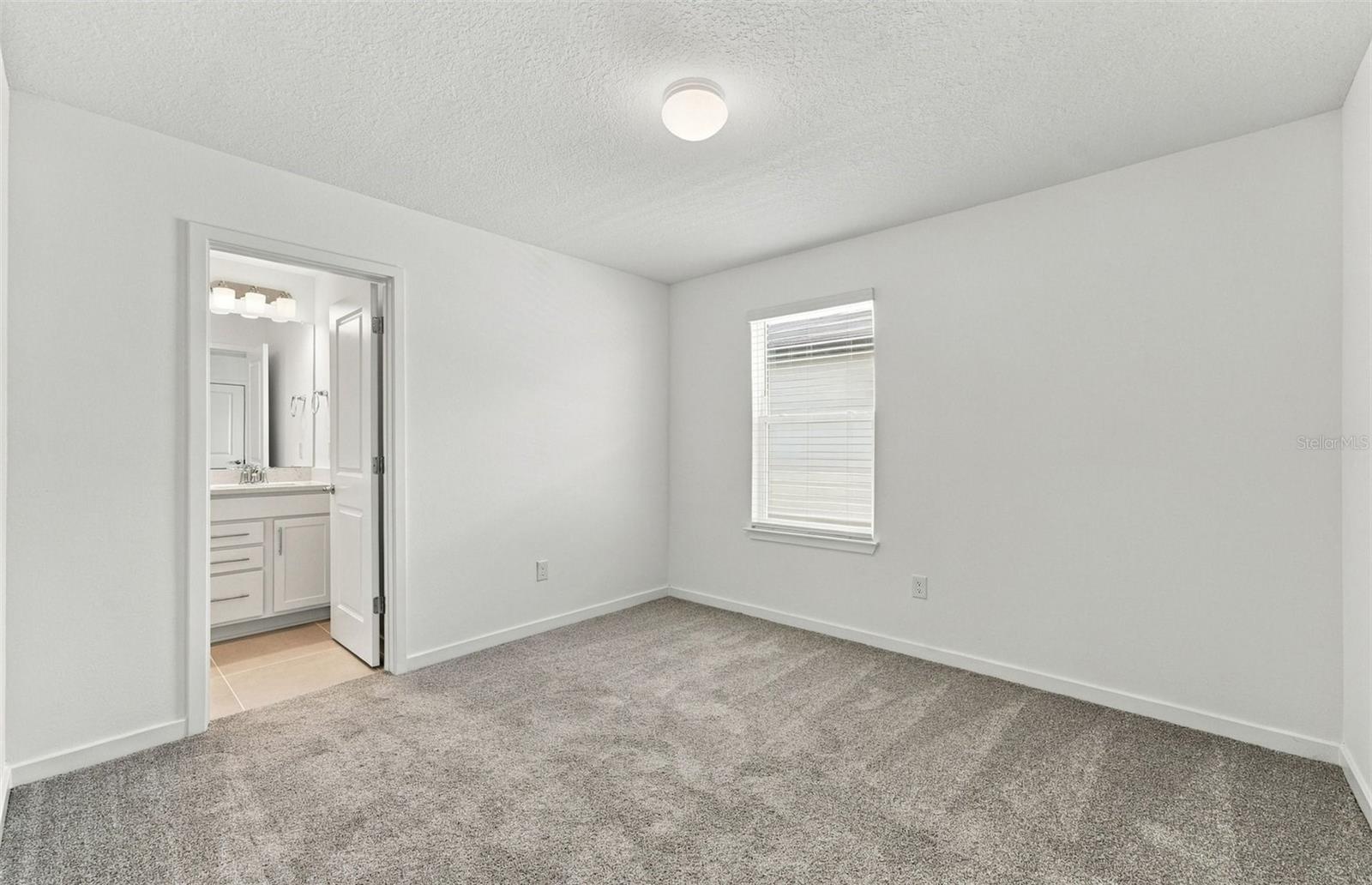 33506 BARNEBROOK DR — photo 16