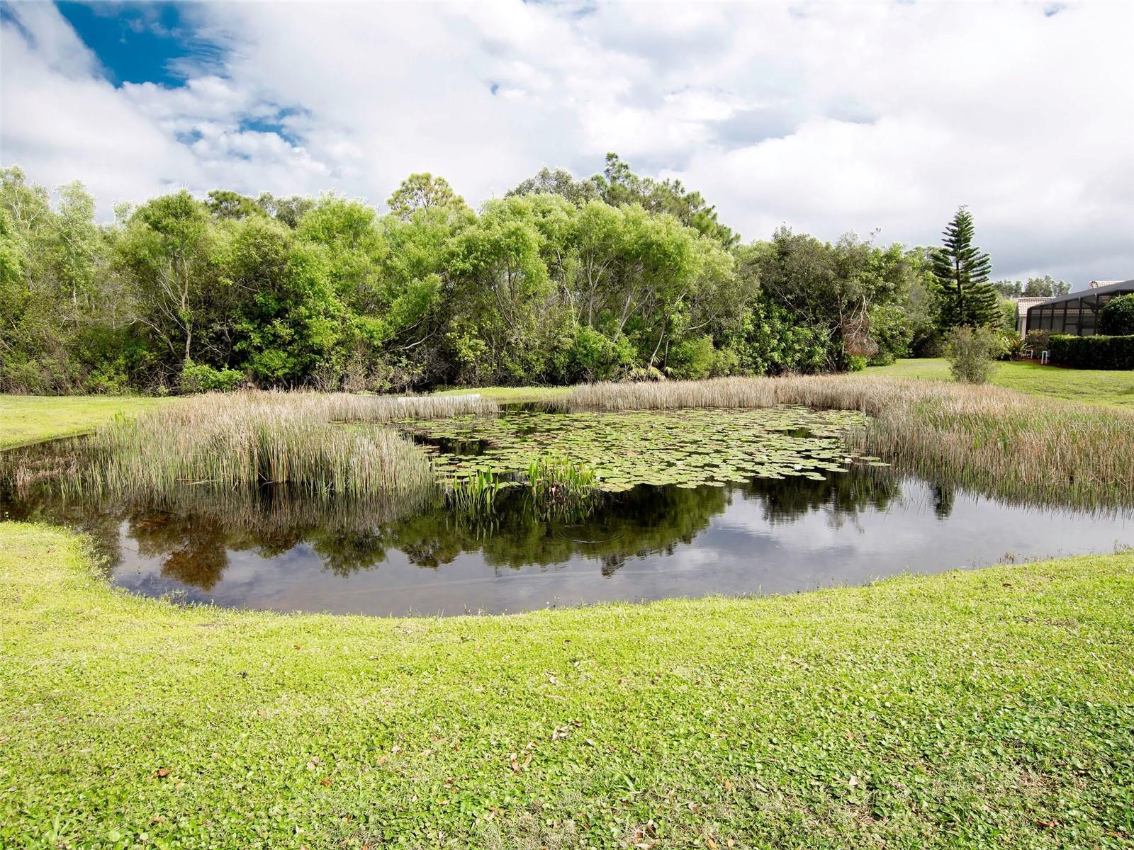 4433 CORSO VENETIA BLVD #C18 — photo 53