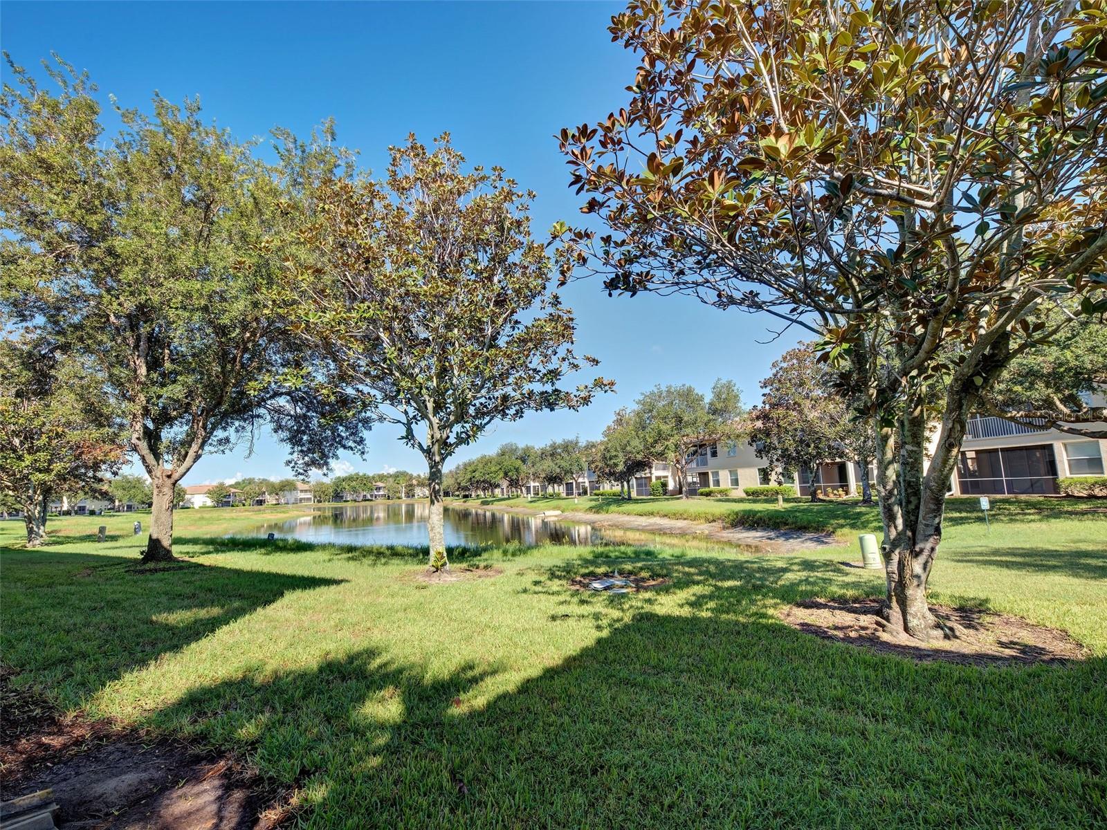 4433 CORSO VENETIA BLVD #C18 — photo 60