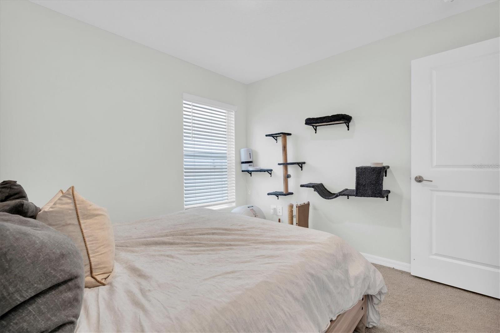 10155 GENTLE RAIN DR — photo 19