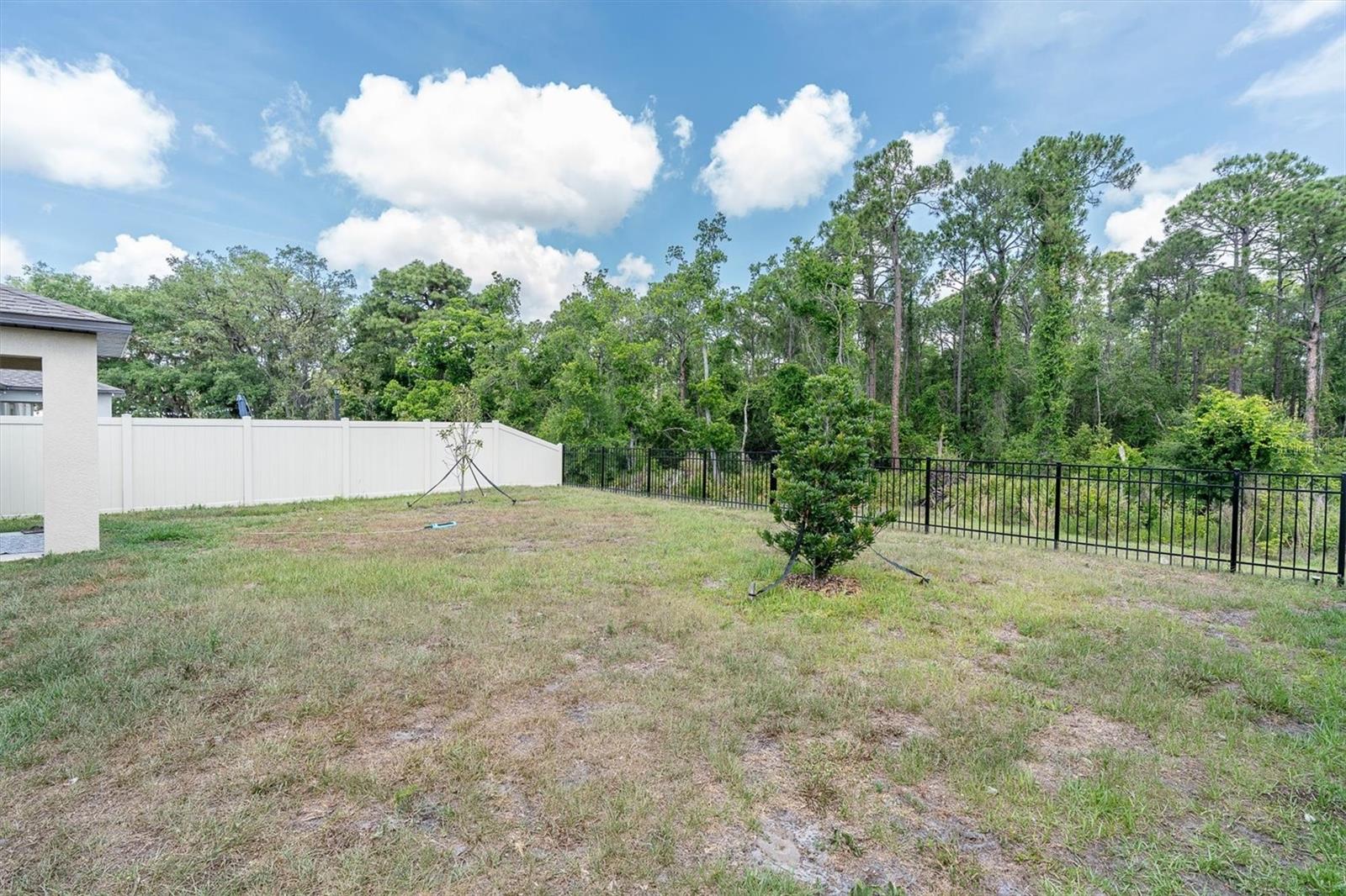 10155 GENTLE RAIN DR — photo 29