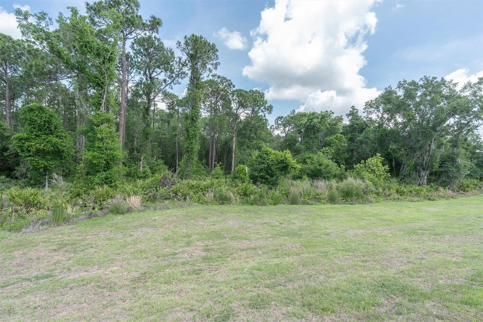 10155 GENTLE RAIN DR — photo 25