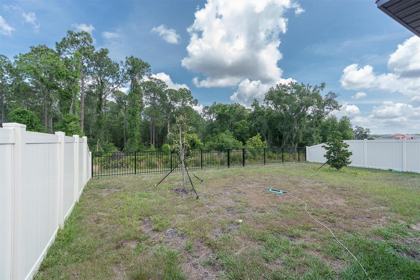 10155 GENTLE RAIN DR — photo 24