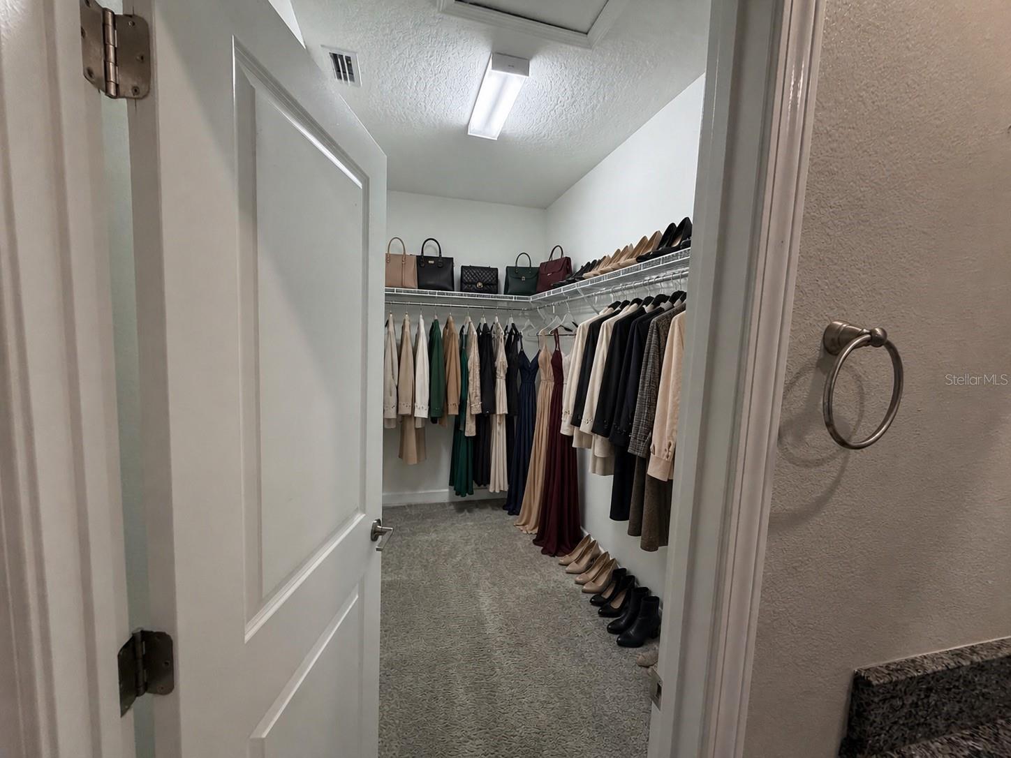 6824 CITRUS CREEK LN — photo 8