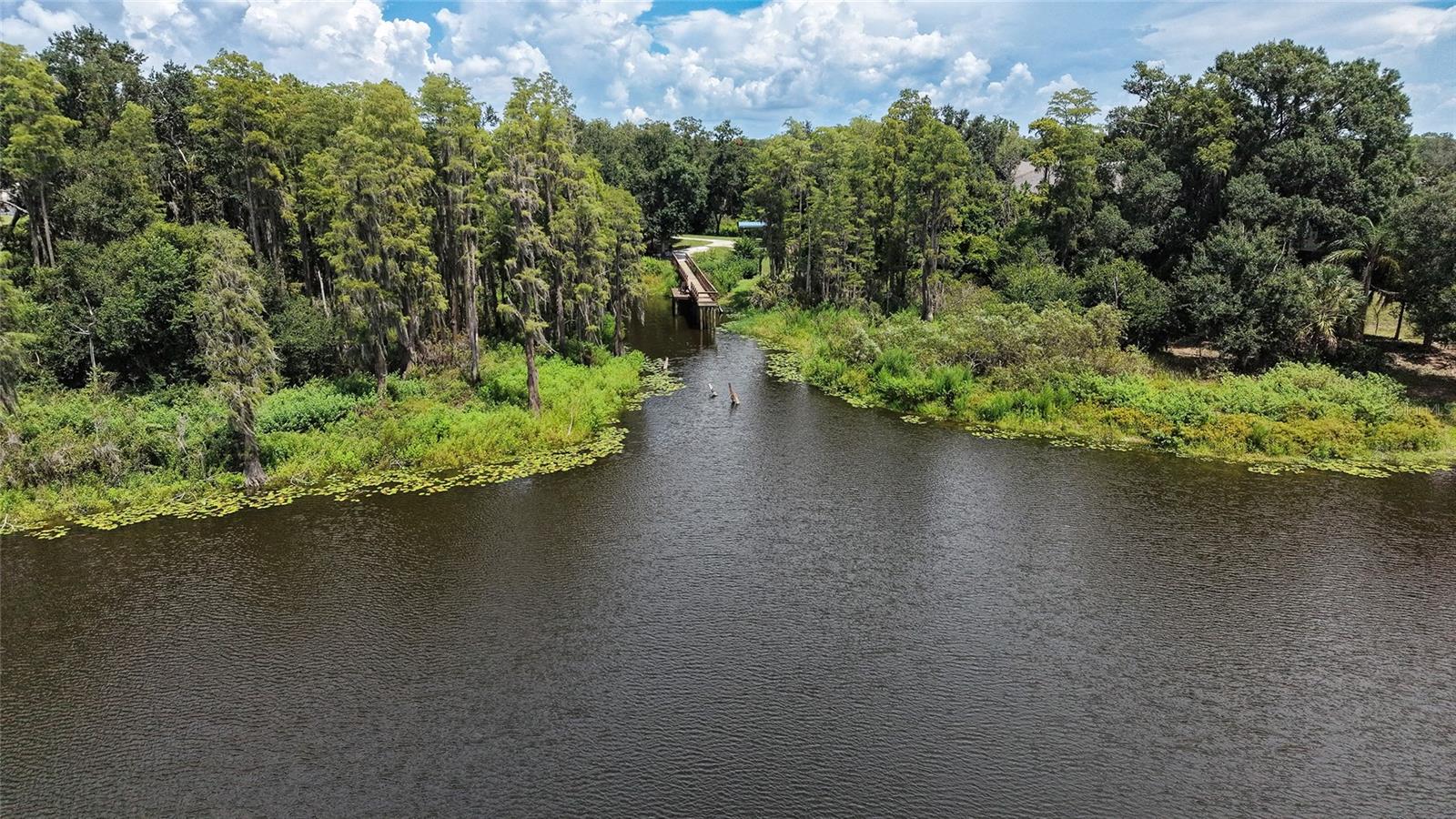 14309 PONDHAWK LN — photo 41