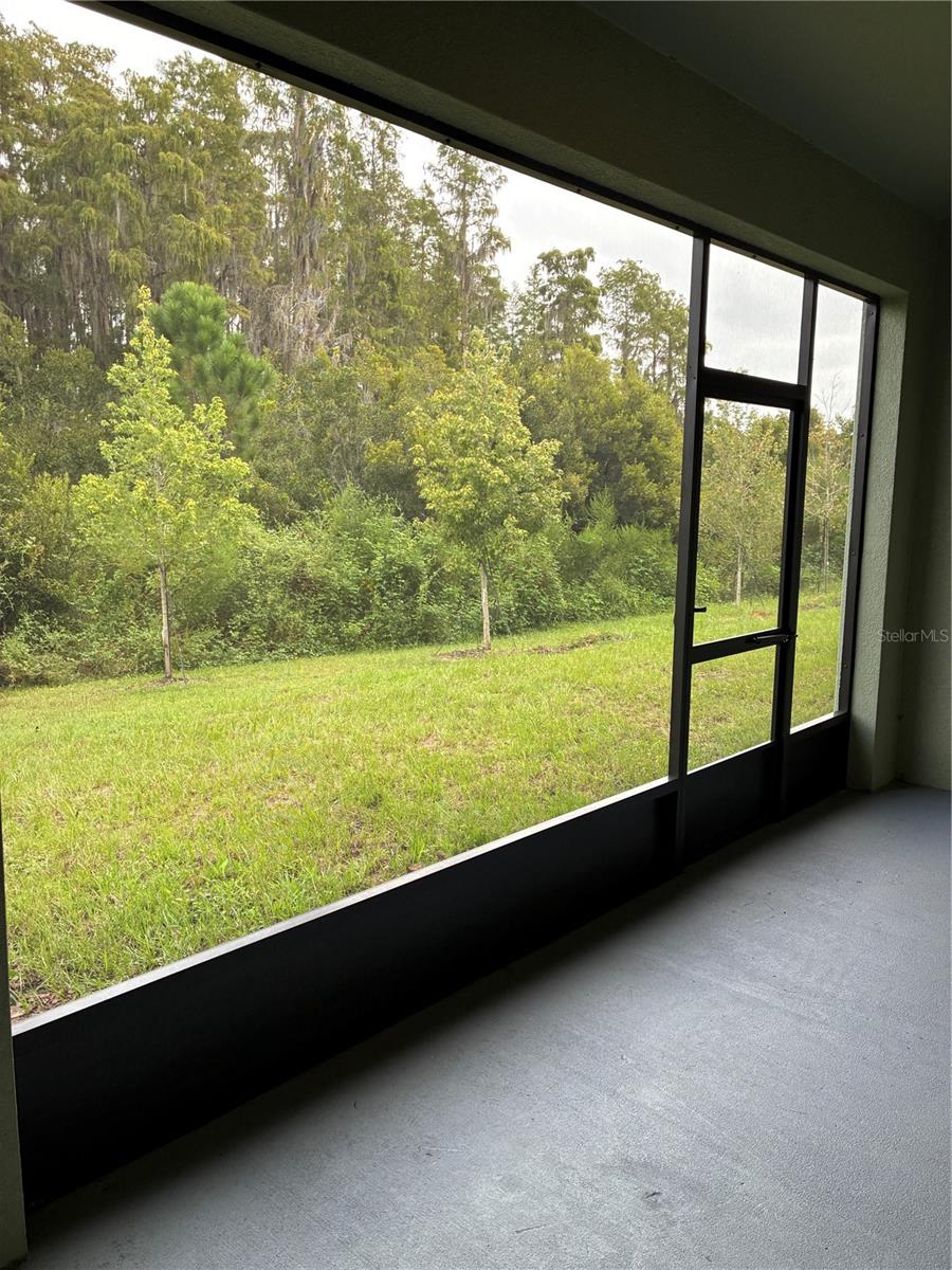 32519 MIDSUMMER NIGHT LN — photo 30