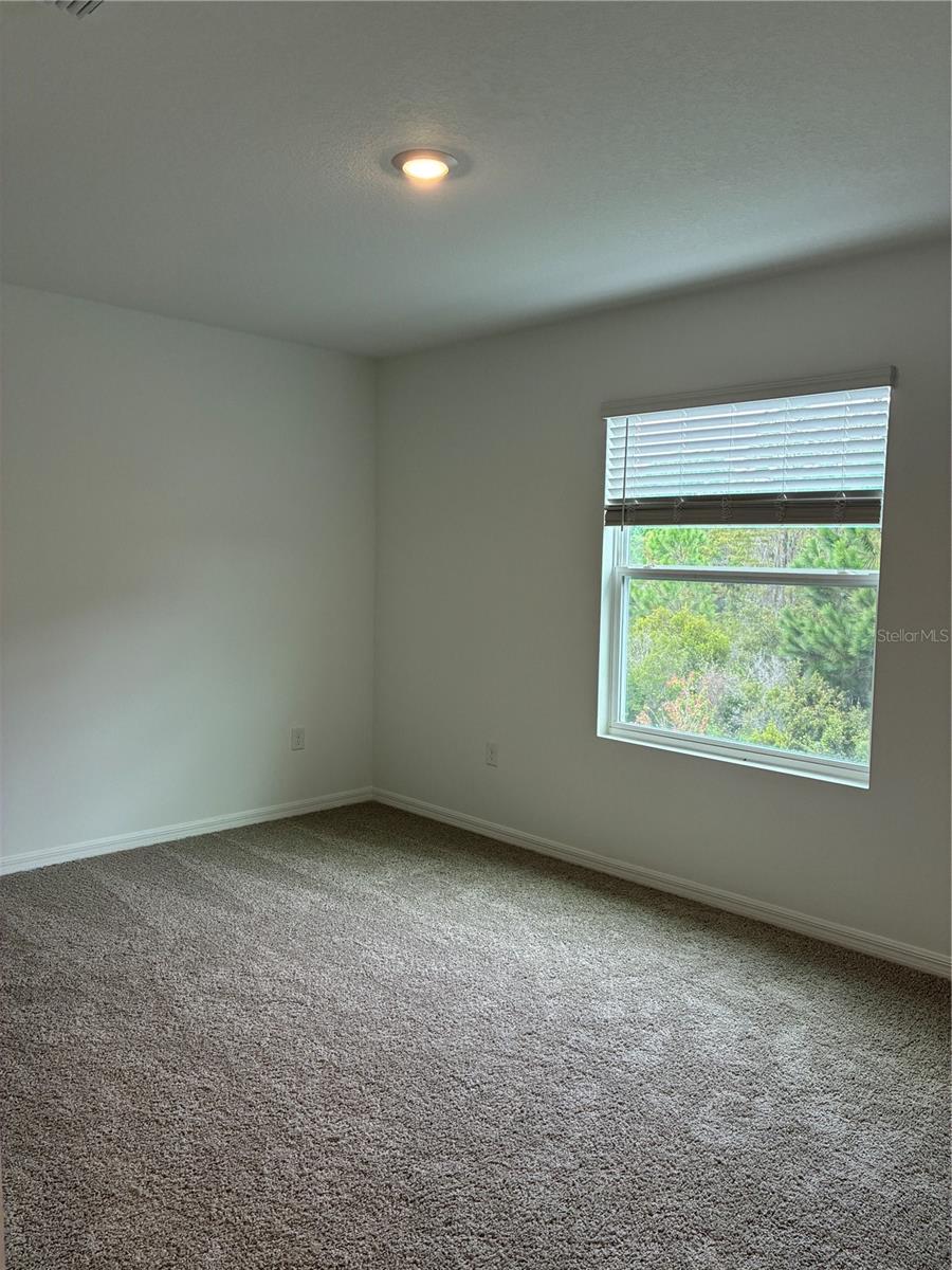 32519 MIDSUMMER NIGHT LN — photo 15