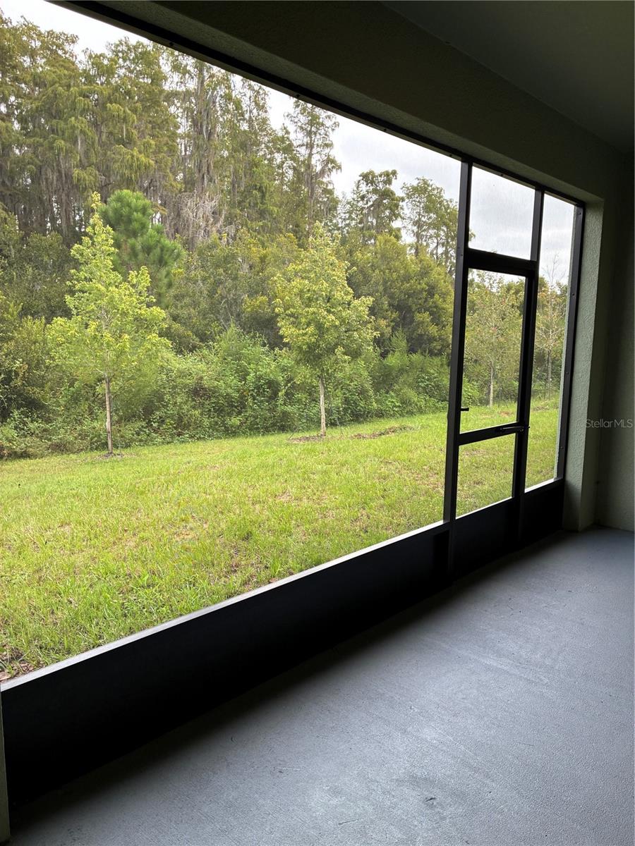 32519 MIDSUMMER NIGHT LN — photo 31