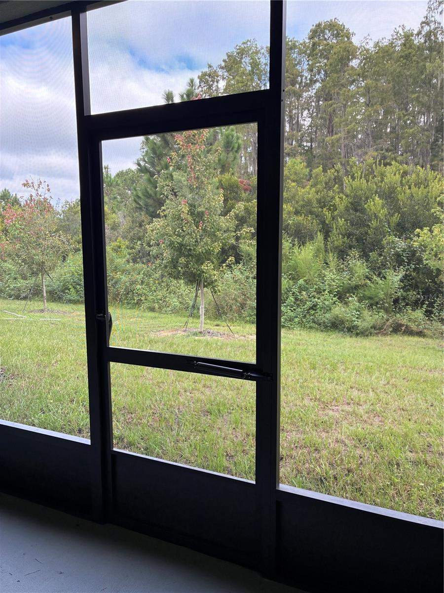 32519 MIDSUMMER NIGHT LN — photo 29