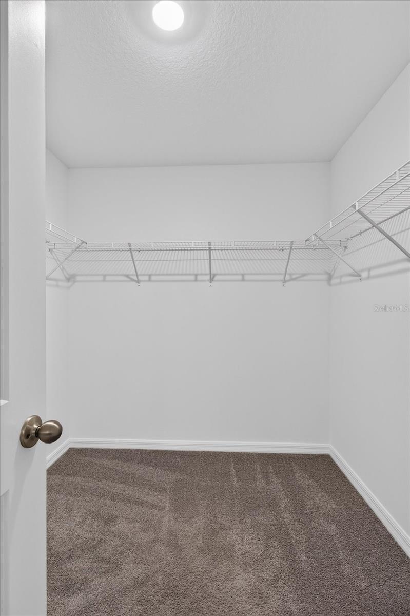 3084 LIVING CORAL ST — photo 31