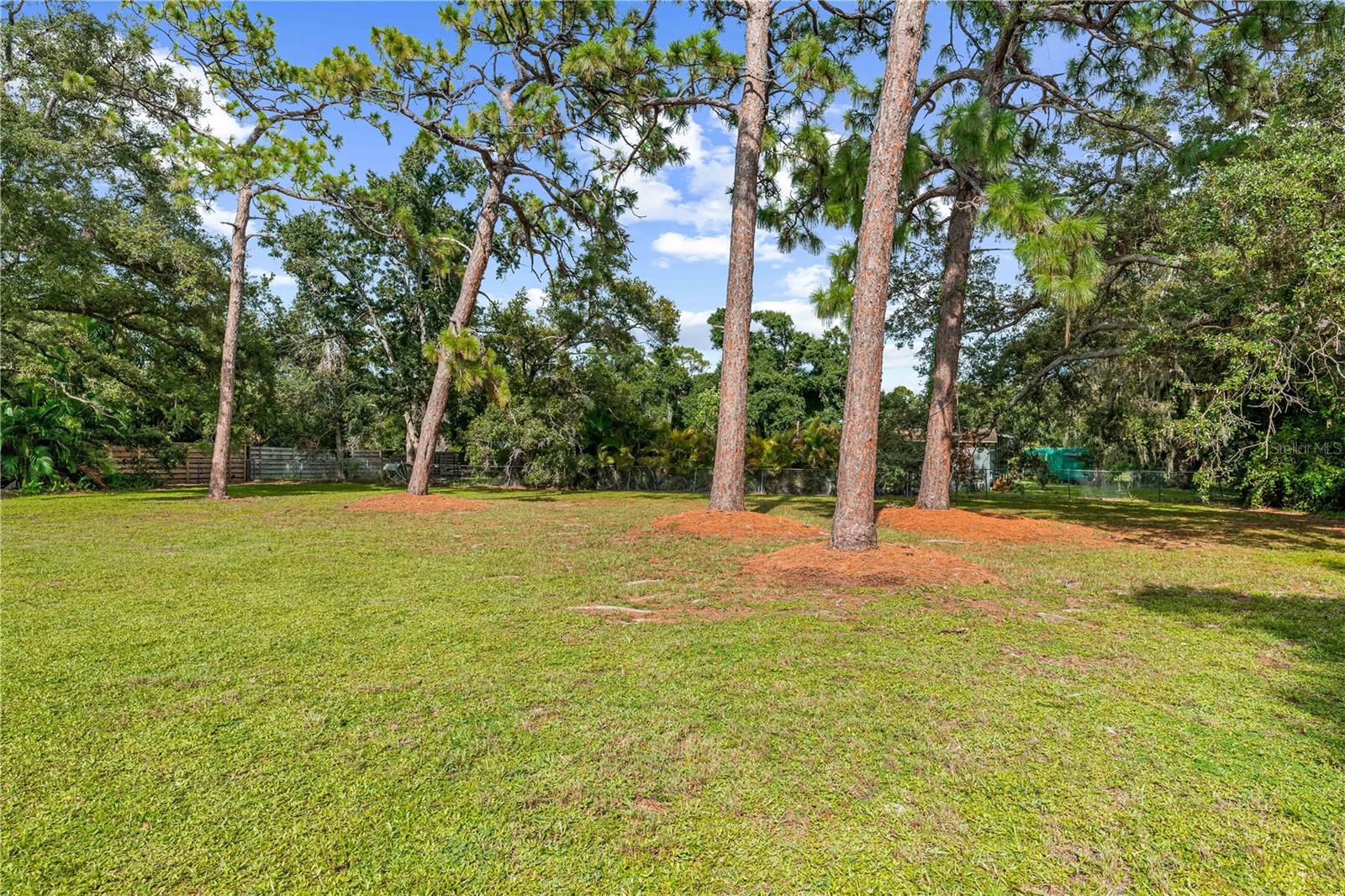 3733 MALEC CIR — photo 45