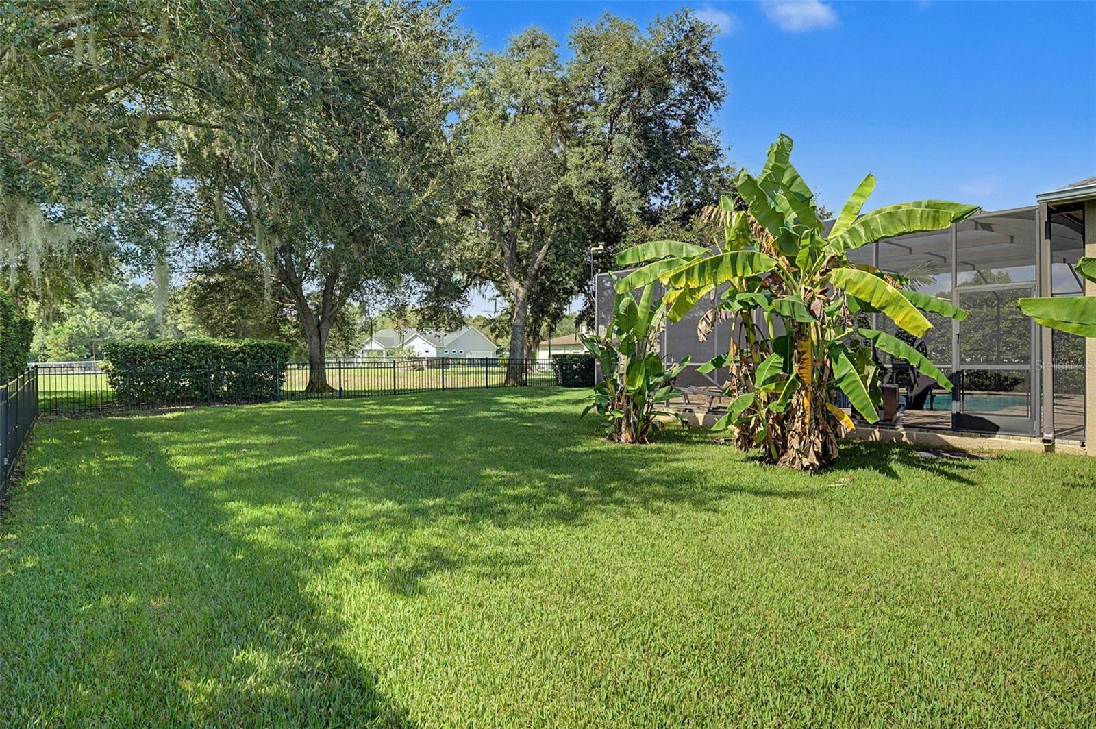 19724 PRINCE BENJAMIN DR — photo 40