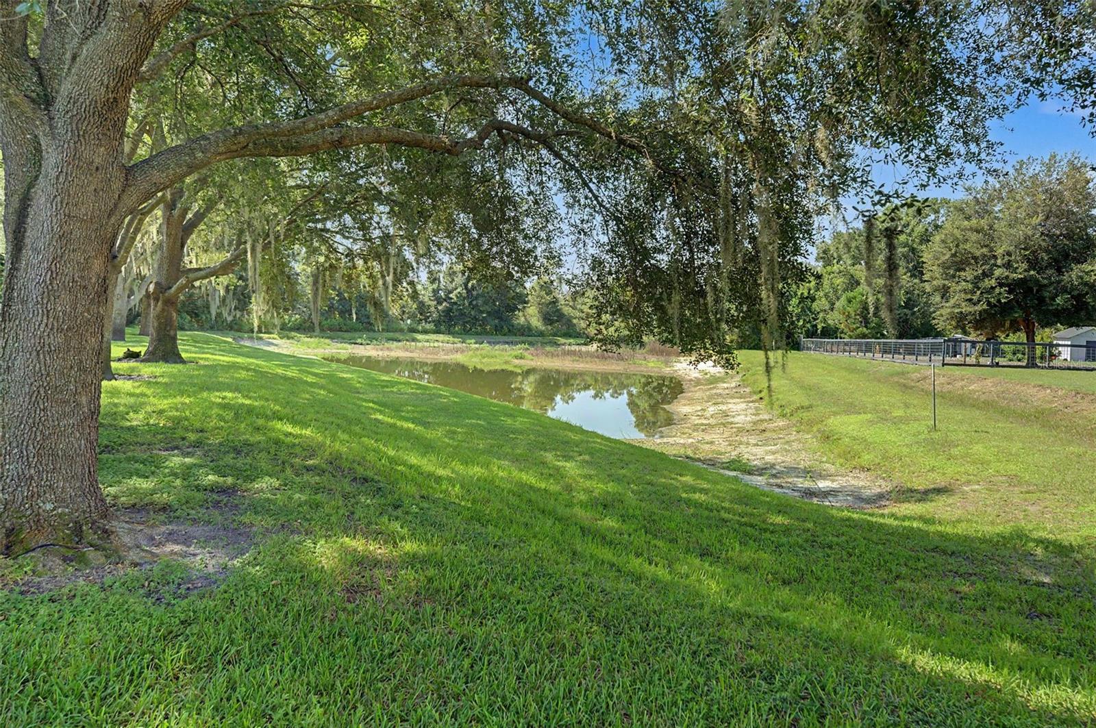 19724 PRINCE BENJAMIN DR — photo 41