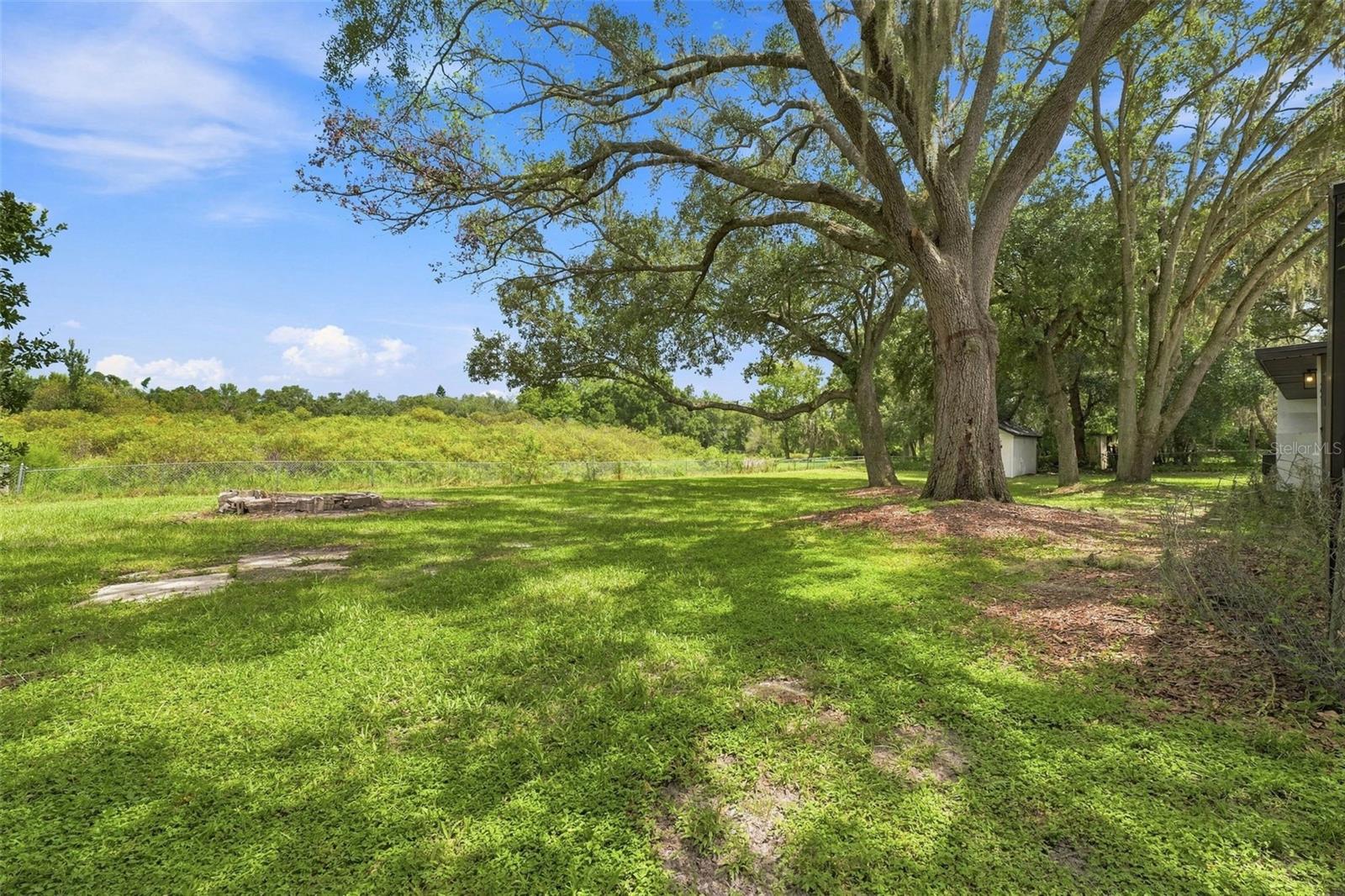 11666 SEMINOLE DR — photo 35