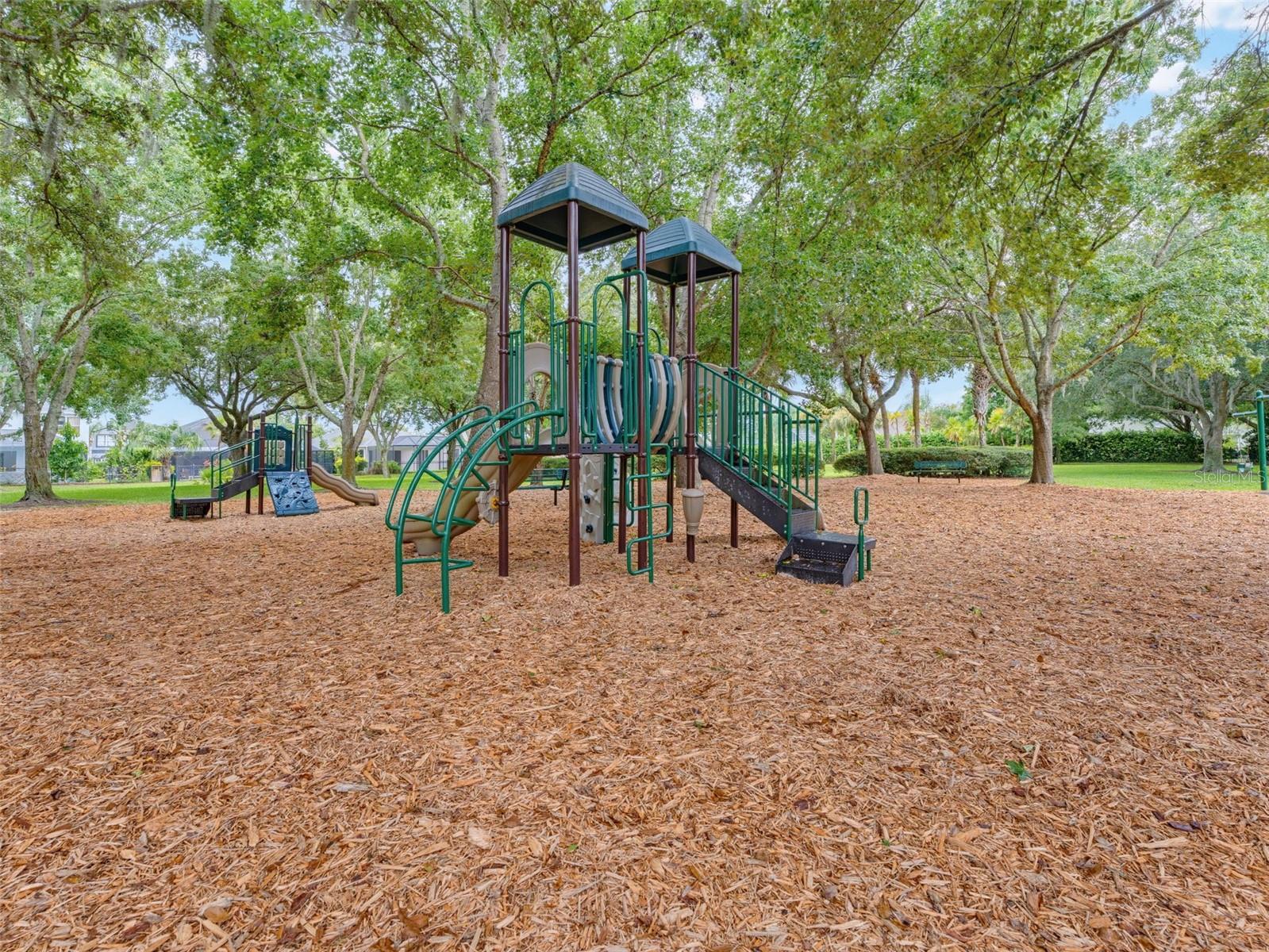 1900 CARDAMON DR — photo 78