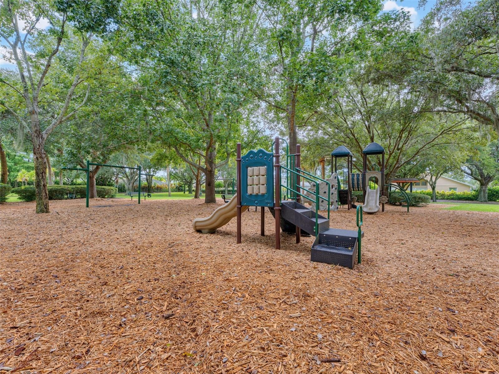 1900 CARDAMON DR — photo 80
