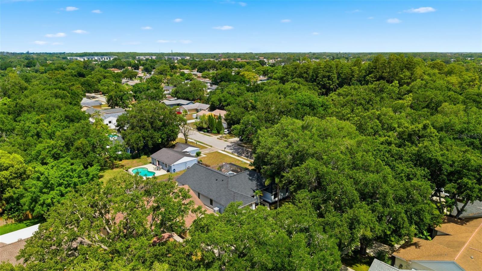 3040 WINDRIDGE OAKS DR — photo 37