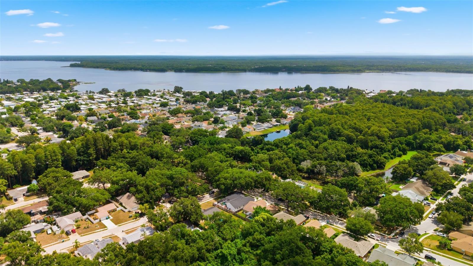 3040 WINDRIDGE OAKS DR — photo 40