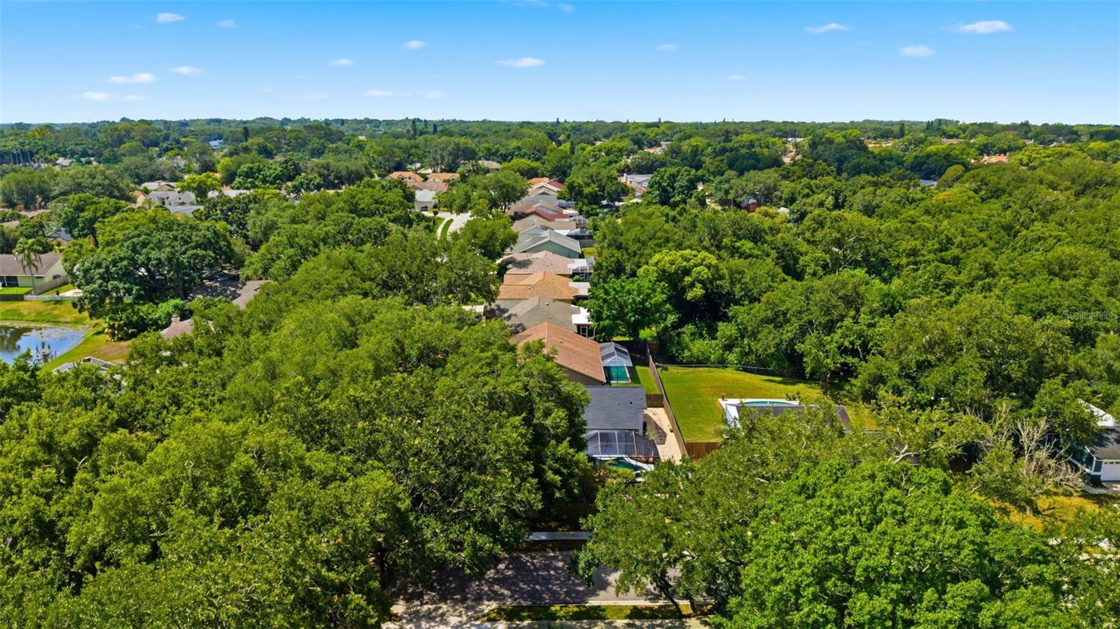 3040 WINDRIDGE OAKS DR — photo 38
