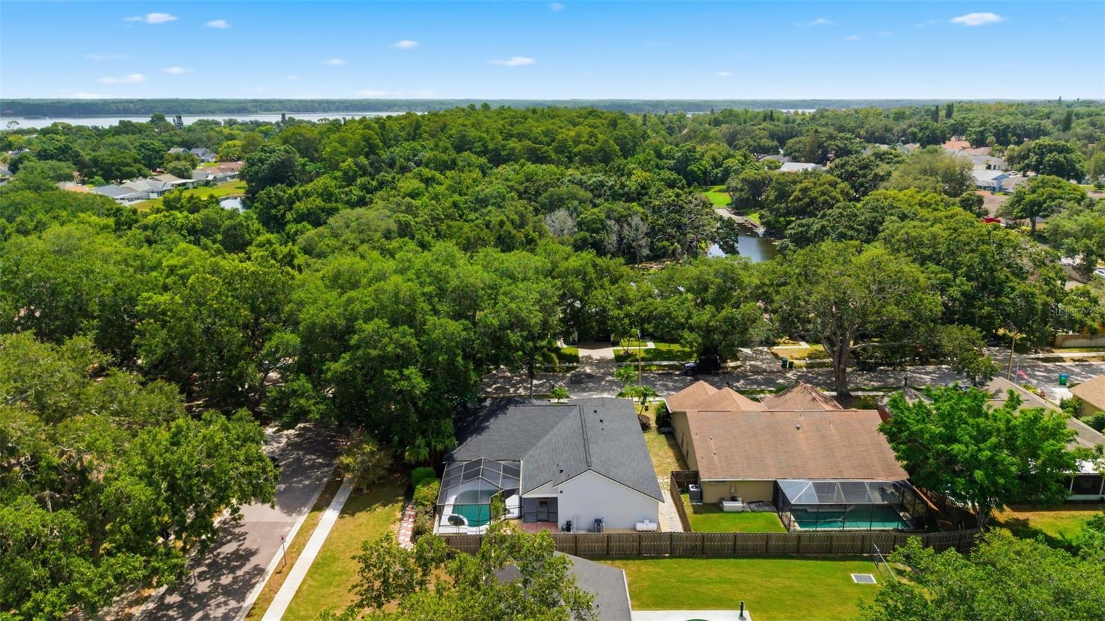 3040 WINDRIDGE OAKS DR — photo 39