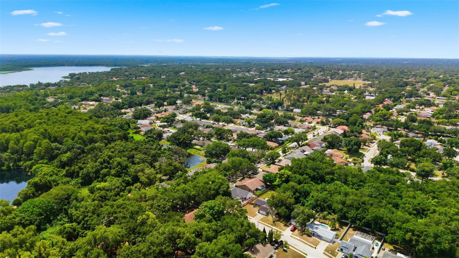 3040 WINDRIDGE OAKS DR — photo 41