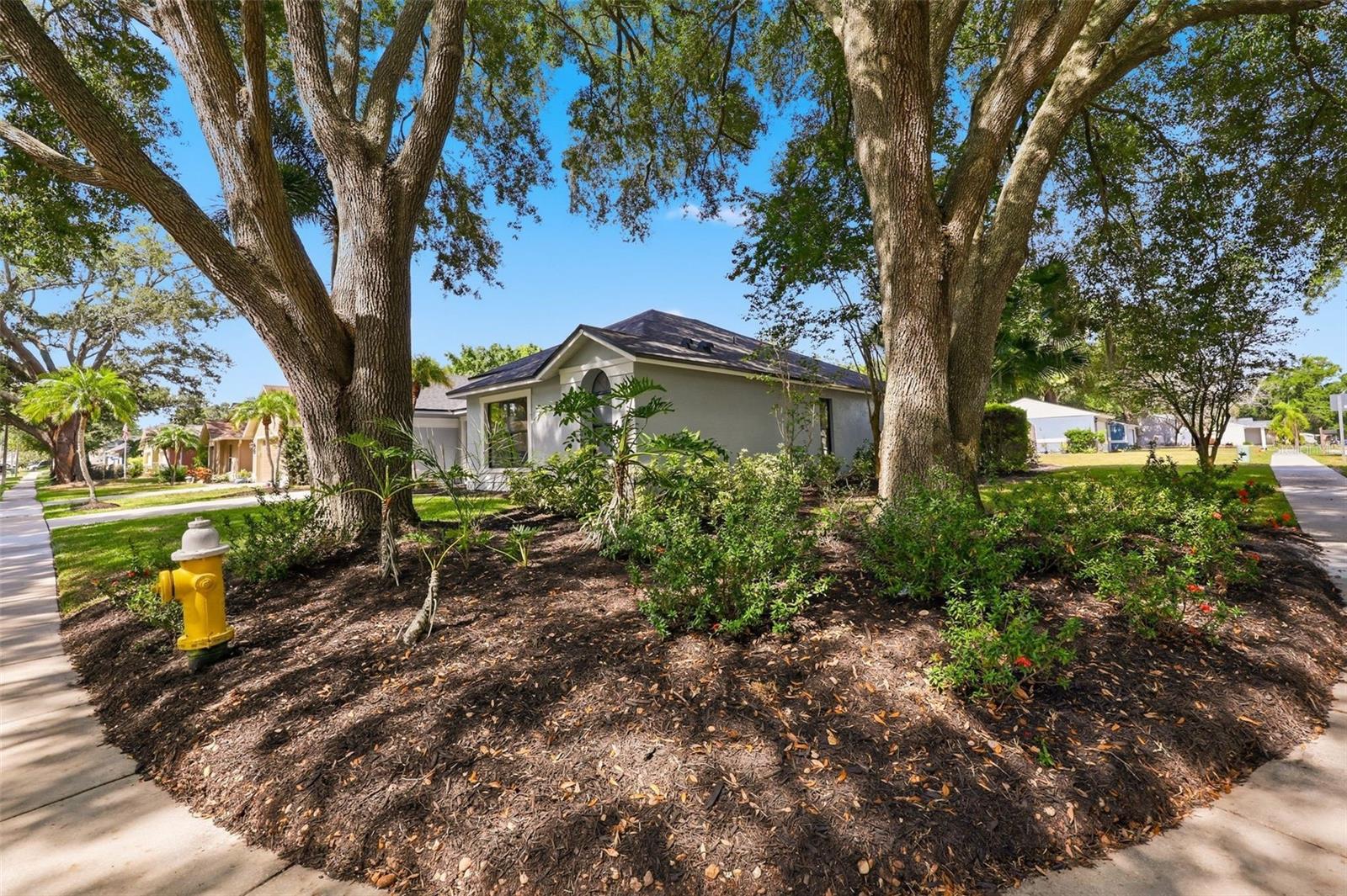 3040 WINDRIDGE OAKS DR — photo 35