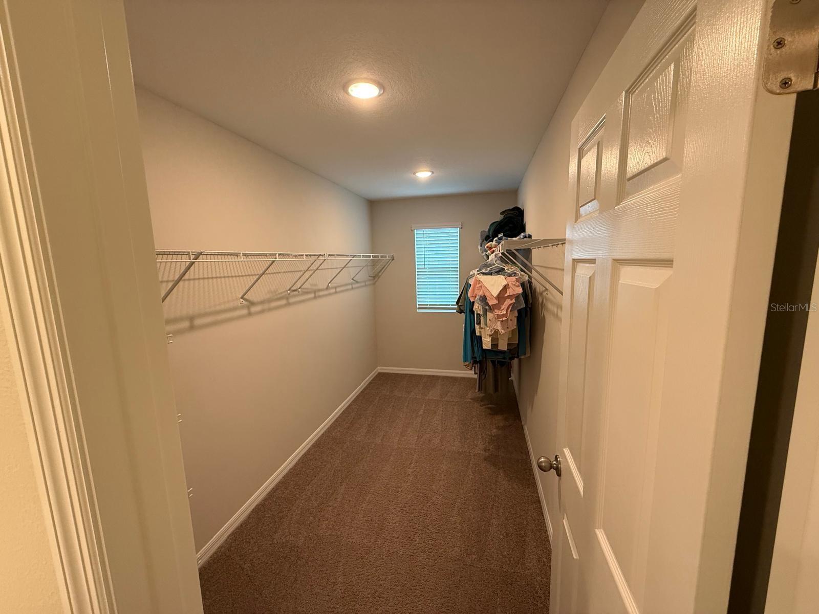 34216 SCARLET SAGE CT — photo 9