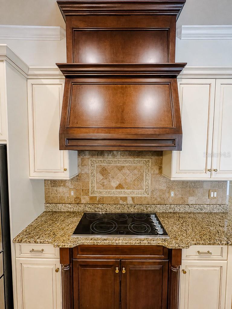 1637 ABYSS DR — photo 23